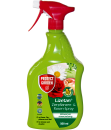 SBM Protect Garden Lizetan® Zierpflanzen- & Rosen-Spray AF, 500 ml